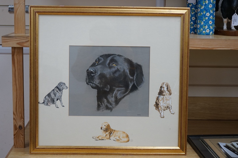 Chapman, heightened pastel, Study of a black labrador ‘Gemma’, signed and dated '90 with three watercolour sketches to the mount, 28 x 32cm. Condition - good